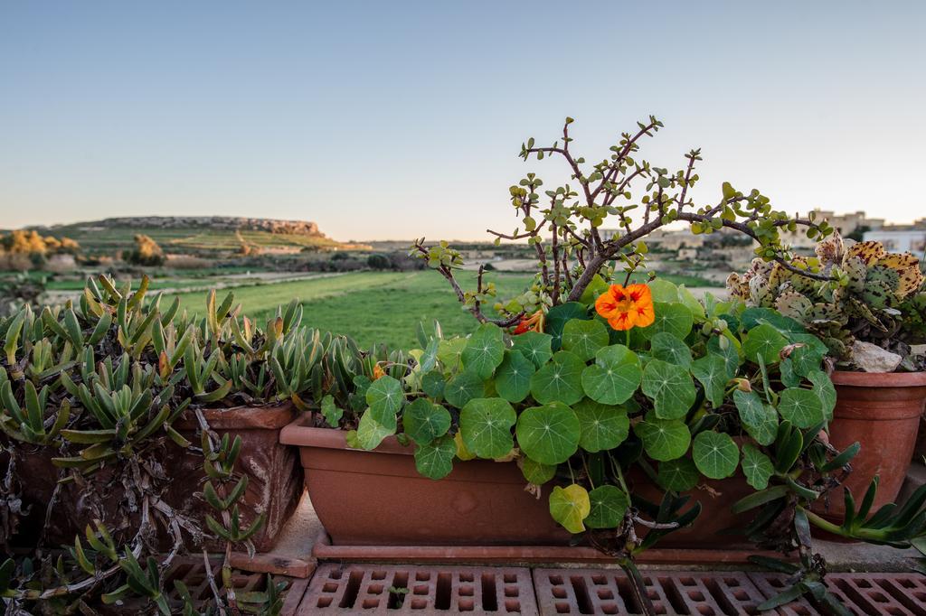 Villayana Holiday Home سان لاورينْتْسْ الغرفة الصورة